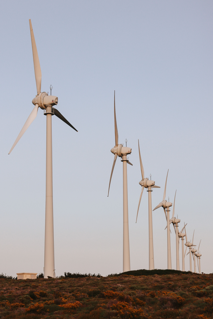 wind energie voor bedrijven